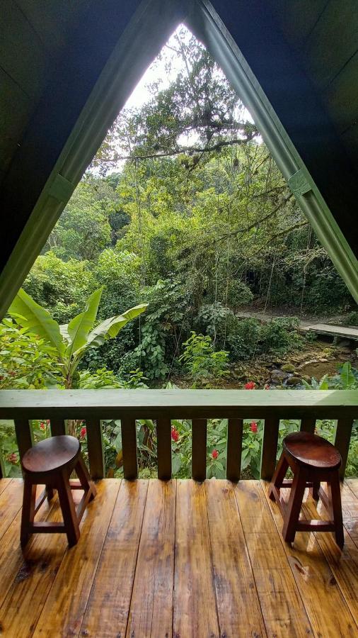 Hotel Cerveceria James Xilitla Exterior photo
